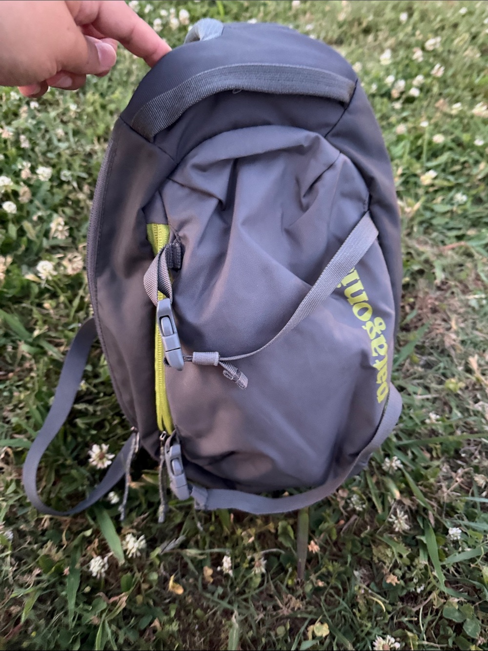 Patagonia Gray and Lime Compact Men's Backpack